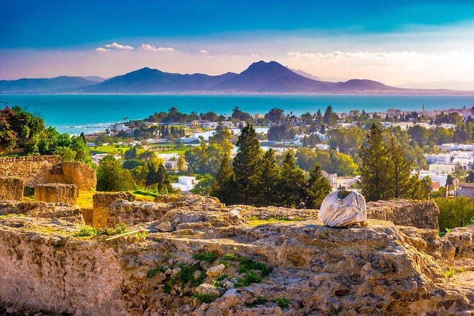 Half-Day Carthage, Sidi Bou Said Private Tour From Tunis or Hammamet - Common questions