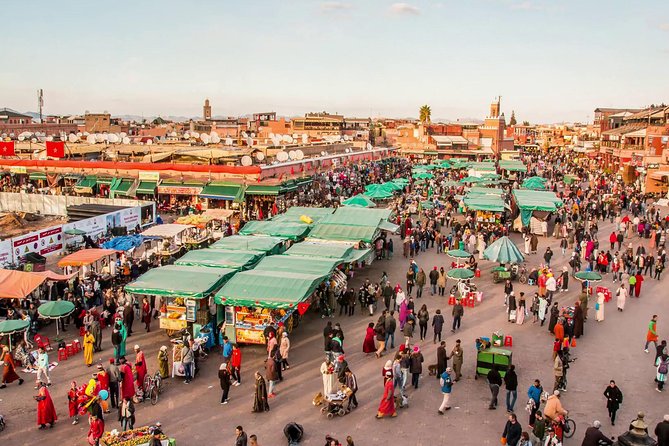 Half-Day City Tour of Marrakech - Traveler Reviews and Recommendations