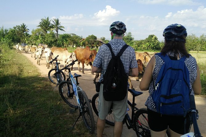 Half Day Cycling Tour to the White Temple - Cultural Insights
