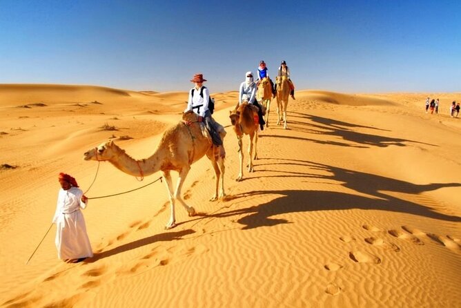 Half Day Desert Safari With Pickup From Doha Port/Airport /Hotels - Additional Support