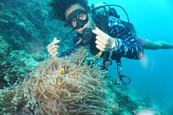 Half Day Discover SCUBA Diving Phi Phi Island - Last Words