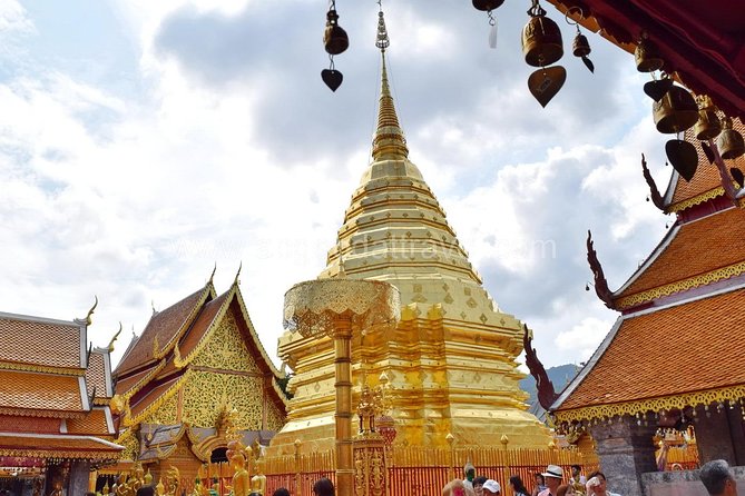 Half Day Doi Suthep Temple and Palad Temple (Private Tour) - Traveler Reviews