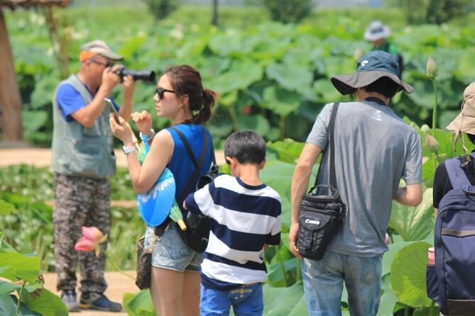 Half-Day Excursión Lotus Flowers and Local Foods From Busan - Important Booking Information