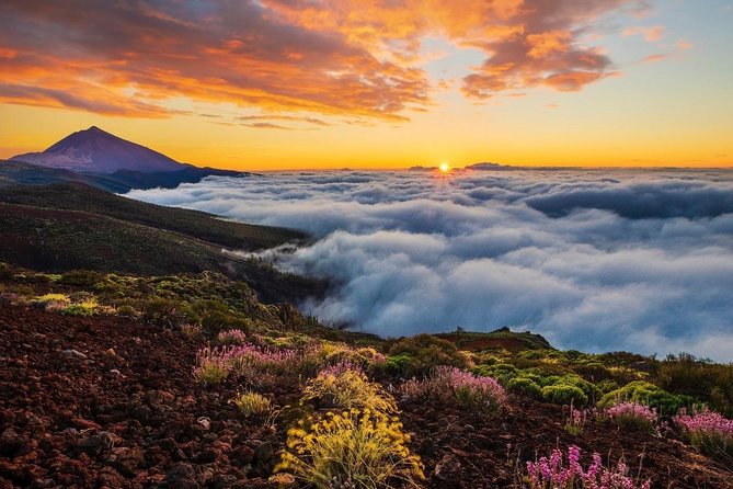 Half Day Excursion to Teide National Park  - Tenerife - Pricing Information