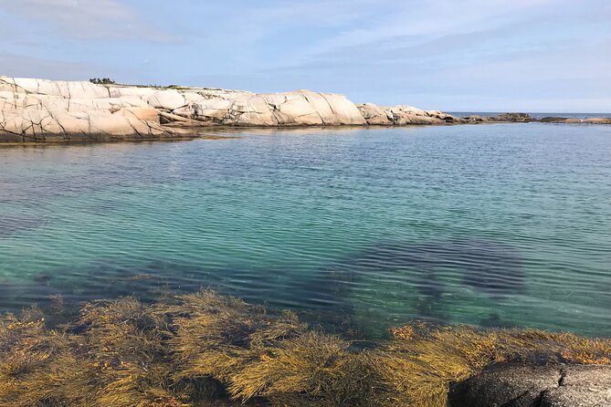 Half-Day Group Tour of Peggys Cove and the Coast  - Halifax - Traveler Reviews and Feedback