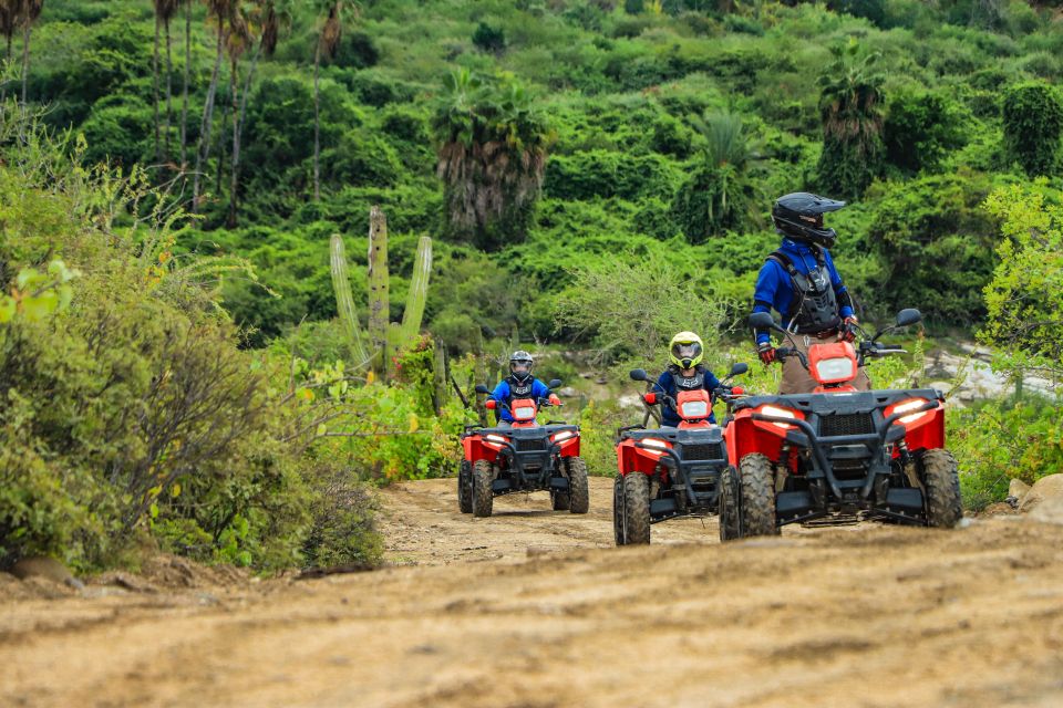 Half-Day Guided ATV Tour at Migriño Area - Weather Considerations