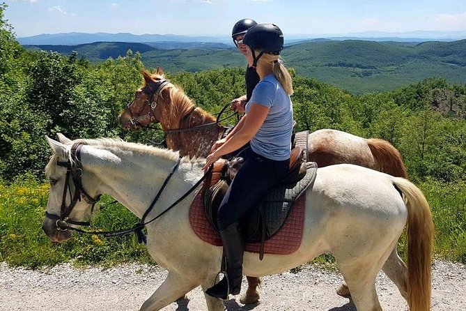 Half-Day Horseback Ride in Tuscany for Beginner Riders - Weather Conditions