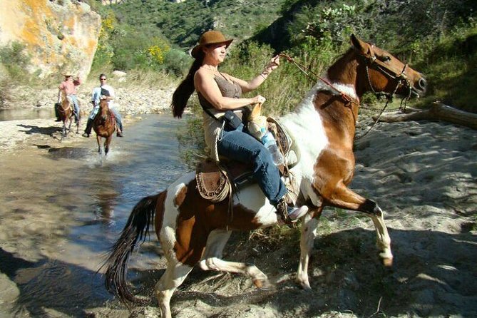 Half-Day Horseback Riding Adventure - Customer Reviews