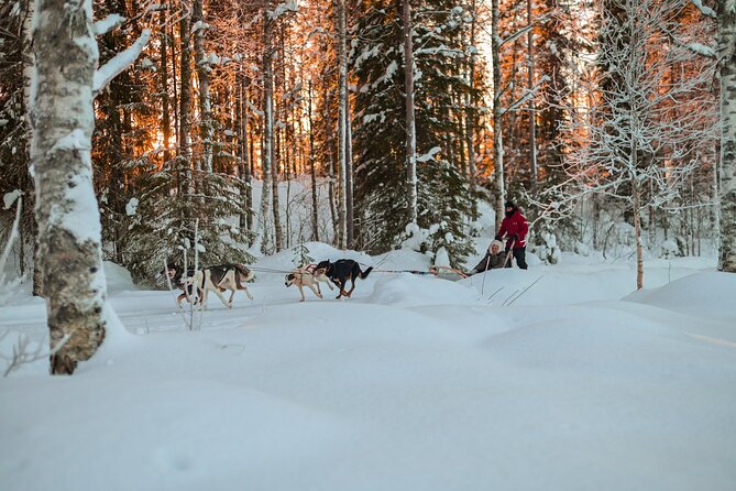 Half-Day Husky Safari and Salmon Ice Fishing Experience - Safety Measures and Guidelines