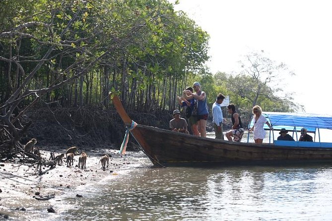 Half Day Mangrove by Kayaking or Longtail Boat From Koh Lanta - Customer Feedback
