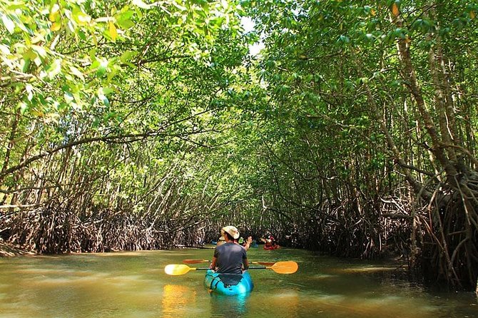 Half Day Mangrove Forest Kayaking Tour From Koh Lanta - Copyright and Terms Information