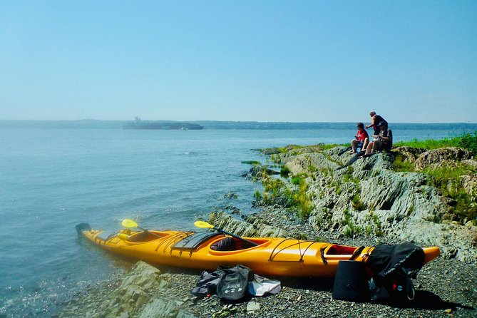 Half-Day Orleans Island Small-Group Sea Kayaking Tour - Experience Highlights