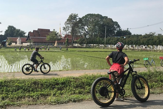 Half-Day Ping River and Rice Paddies E-Bike Adventure (Flat Land, Guided) - Guest Reviews