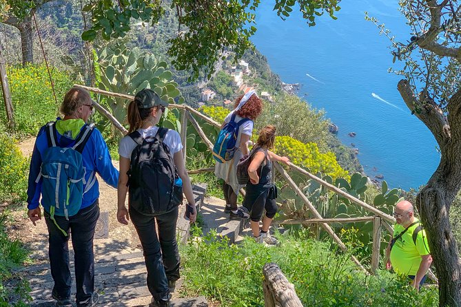 Half-Day Private Amalfi Coast Path of the Gods Hike With Lunch - Experience Highlights