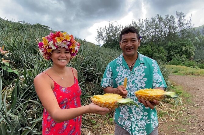 Half-Day Private Highlights Tour by 4x4, Moorea - Recommendations and Testimonials