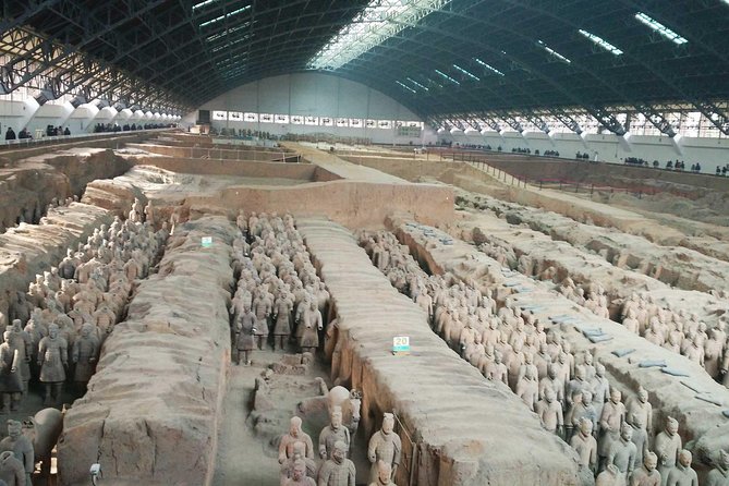 Half-Day Private Tour of Xian Terracotta Warriors and Horses Museum - Reviews and Ratings