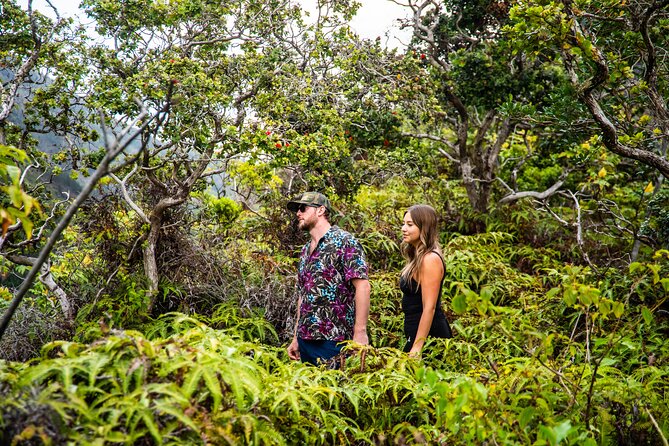 Half Day Private VIP Road to Hana Tour - Pricing and Value Proposition