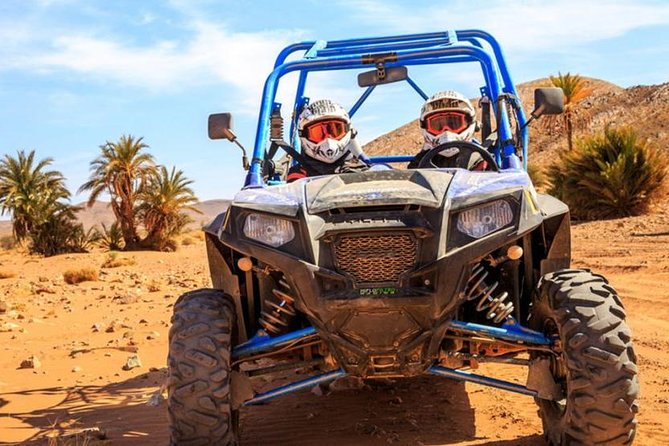 Half Day Quad Palmeraie: the Best Quad Rides - Visual Showcase of Quad Rides