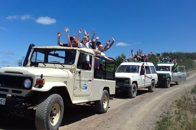 Half Day Safari Tour With Wine Tasting - Visitor Experiences