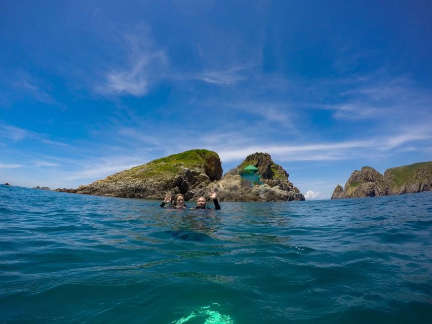 Half-Day Snorkeling Trip in Nha Trang With Vietnam Active - Tour Description