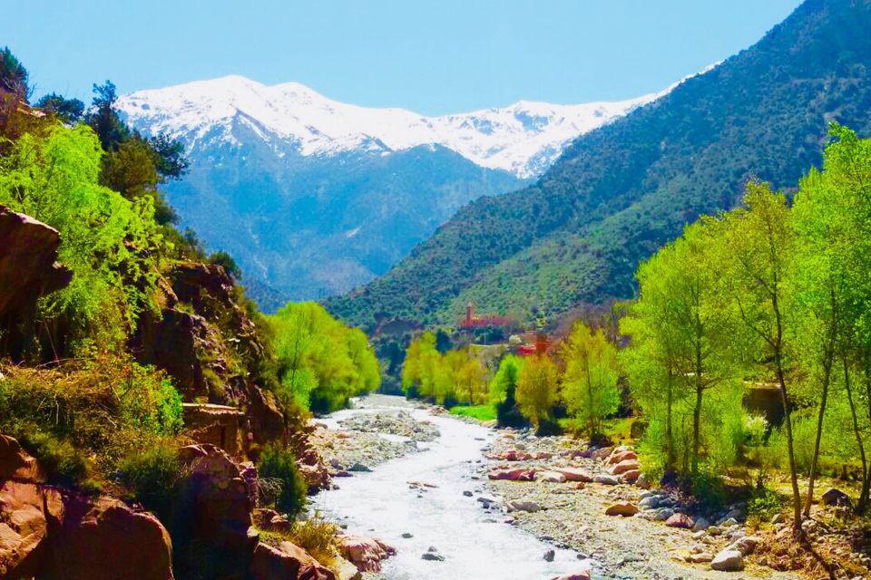 Half Day Tour From Marrakech to the Atlas Mountains & Ourika - Customer Reviews