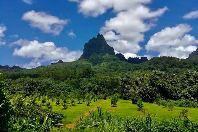 Half-Day Tour of Moorea Island in a Small Group - Operational Details