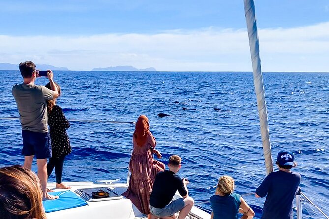 Half Day Tour on a Luxury Catamaran on Madeira Island - Traveler Reviews
