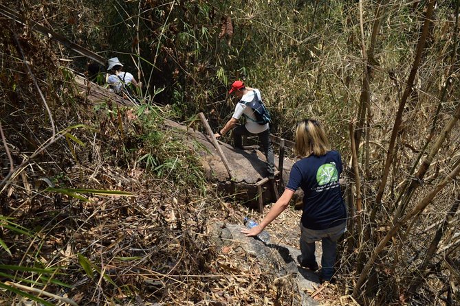 Half Day Trekking Doi Suthep - Pui National Park Area (Private Tour) - Booking Information