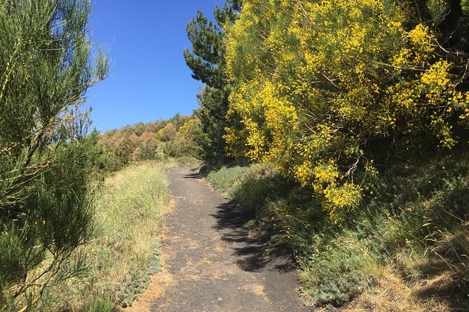 Half Day Trekking Tour on Etna - Booking Information