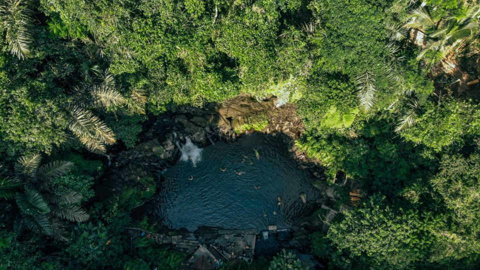 Half-Day Ubud Waterfall Tours - Booking Information and Recommendations