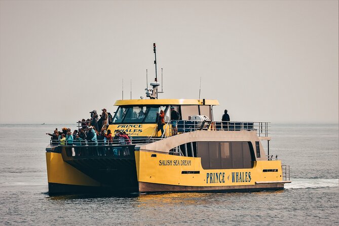 Half-Day Whale Watching Adventure From Victoria - Customer Experience and Satisfaction