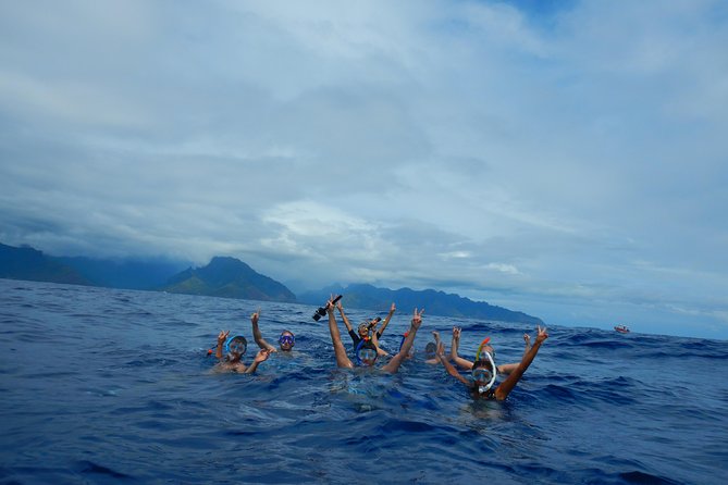 Half-Day Whale Watching and Swimming Tour, Moorea - Customer Reviews and Satisfaction