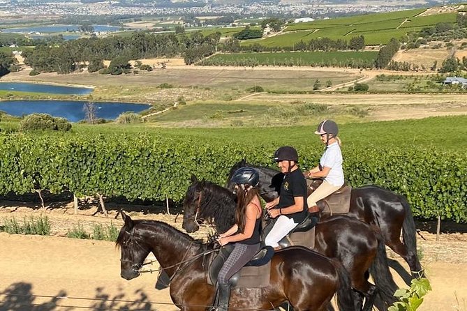 Half Day – Wine Tasting Horse Trail - Participant Guidelines