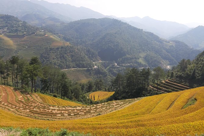 Halfday Trekking Mu Cang Chai - Reviews and Further Exploration