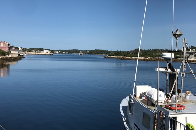 Halifax Full-Day Peggys Cove and Lunenburg Tour - Lighthouse Route Experience