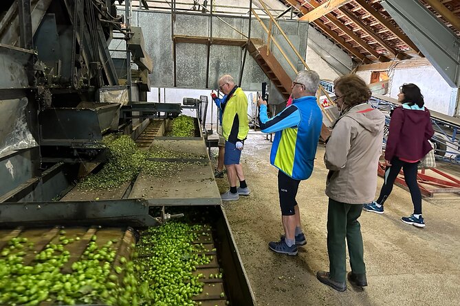 Hallertau Experience With Hop Harvest, Lunch and Hop Museum - Pricing Details