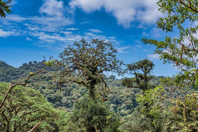 Hanging Bridges & Tour Guide From Monteverde - Common questions
