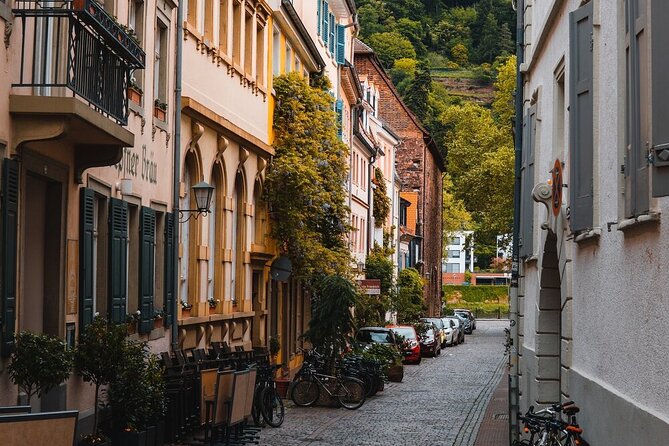 Heidelberg Castle and City Day Tour From Frankfurt - Itinerary Details