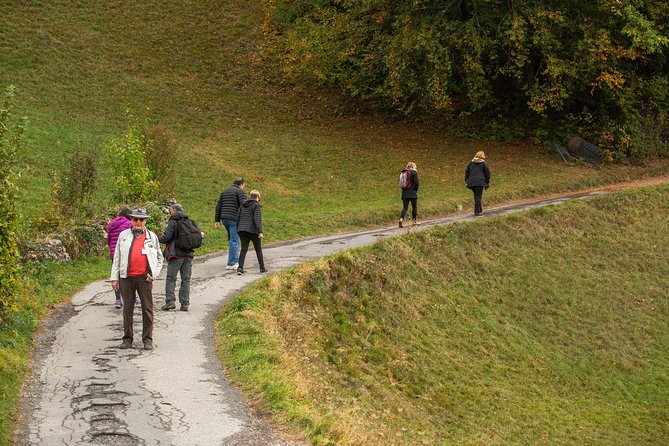 Heidiland and Liechtenstein Tour From Zurich - Viator Information