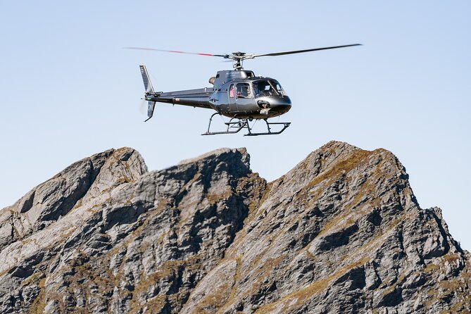 Heli-Picnic Alpine Lake Kahurangi National Park - Recommended Items and Service Animals