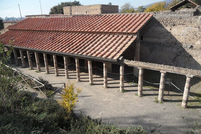 Herculaneum and Pompeii With Guide - Booking Process