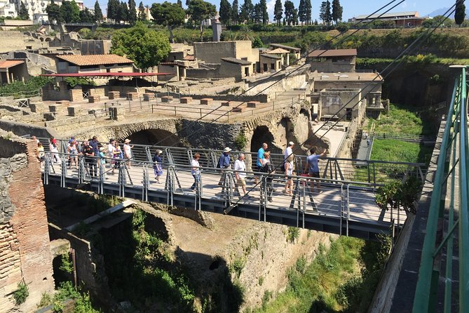 Herculaneum Private Walking Guided Tour 2 Hours - Tour Exclusions
