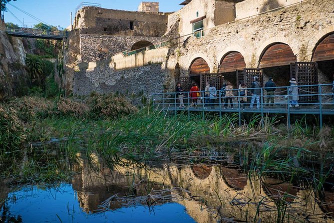 Herculaneum Private Walking Tour - Pricing and Viator Information