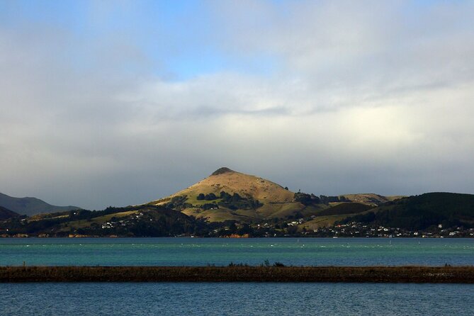 Heritage City and Larnach Castle Van Tour With Historian Guide - Visitor Testimonials
