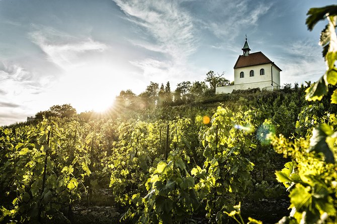 Hidden Vineyards and Private Winery Tour in Prague - Common questions