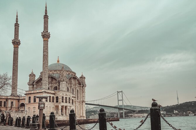 Highlights of Istanbul in One Day - Bosphorus Cruise Experience