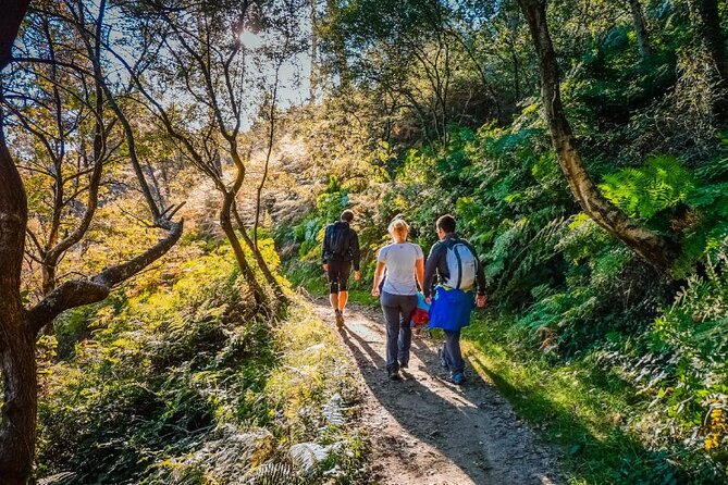 Hike at The Camino, Private Day Tour - Pricing