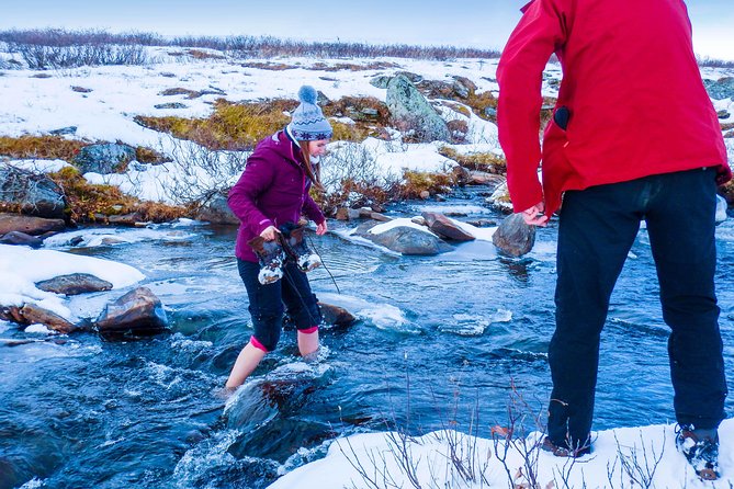 Hike In The Vindelfjäll - Europes Largest Nature Reserve - Contact and Support