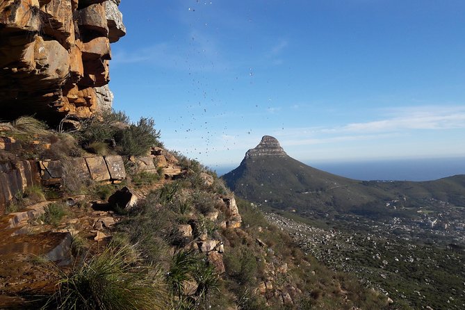 Hike Table Mountain Sunrise via Platteklip Gorge Morning Tour - Reviews and Ratings