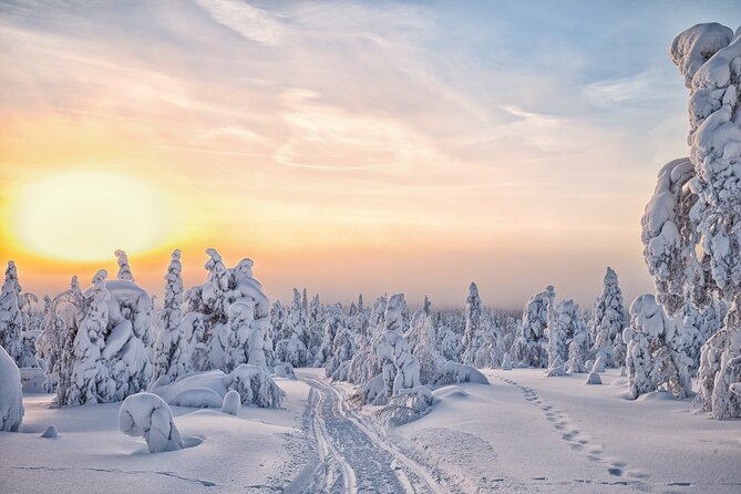 Hike to Frozen Waterfalls of Korouoma Including BBQ Lunch From Rovaniemi - Common questions